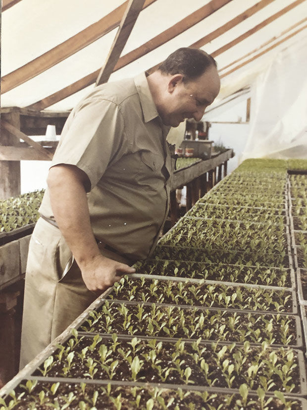 Costa Farm & Greenhouse